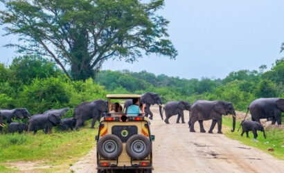 Sri Lanka Holidays: Your Complete Guide to Planning the Perfect Getaway